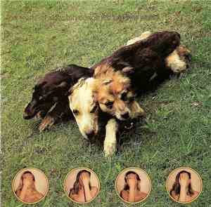 The World Of Skin - Ten Songs For Another World