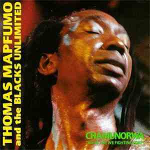 Thomas Mapfumo And The Blacks Unlimited - Chamunorwa