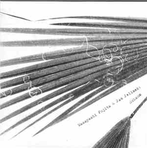 Masayoshi Fujita & Jan Jelinek - Schaum