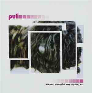 Puli  - Never Caught My Eyes