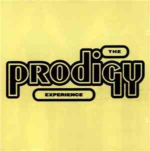 The Prodigy - Experience