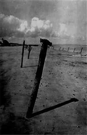 Totenwacht / Irrwald - Marching Through Tolerant Subhuman Being / War & Des ...