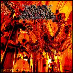 The Black Scorpio Underground - Necrochasm
