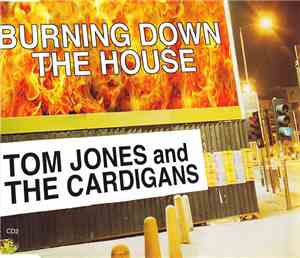 Tom Jones And The Cardigans - Burning Down The House