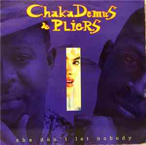 Chaka Demus & Pliers - She Don't Let Nobody