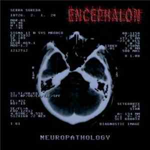 Encephalon - Neuropathology