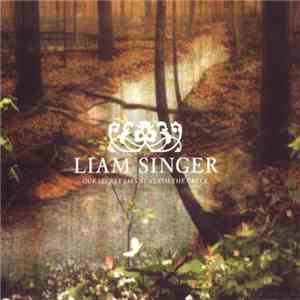 Liam Singer - Our Secret Lies Beneath The Creek