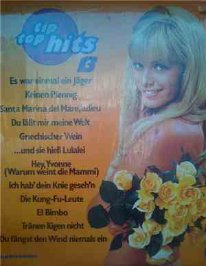Orchester Udo Reichel - Tip Top Hits 13
