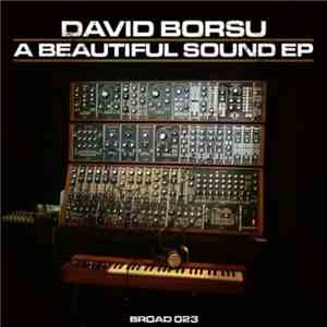 David Borsu - A Beautiful Sound EP