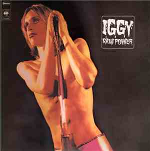 Iggy And The Stooges - Raw Power