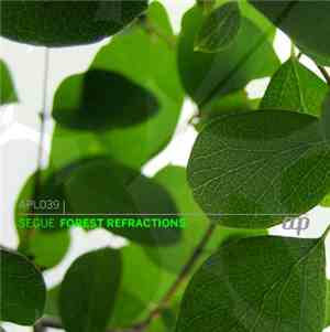 Segue - Forest Refractions