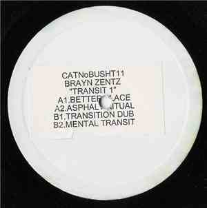 Brayn Zentz - Transit 1