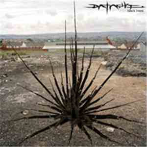 Datach'i - Black Trees