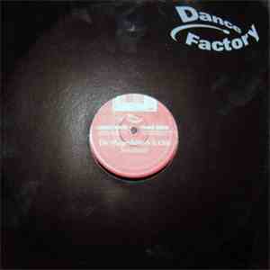 Shapeshifters & Chic - Sensitivity