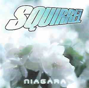 Squirrel  - Niagara