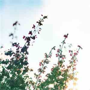 Various - Hibernate Sampler 4