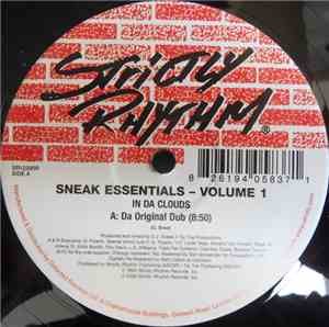 DJ Sneak - Sneak Essentials Volume 1