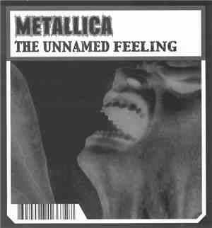 Metallica - The Unnamed Feeling