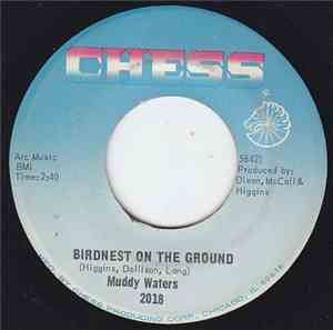 Muddy Waters - Birdnest On The Ground