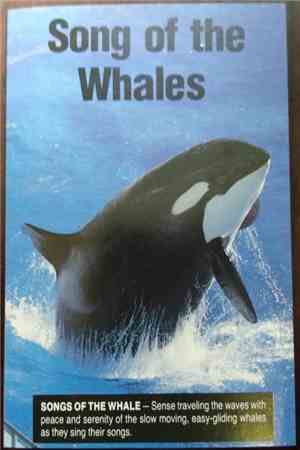 No Artist - Song Of The Whale (Sounds Of Nature)