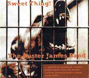 The Buster James Band - Sweet Thing!