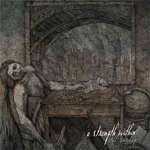 A Strength Within - Still Searching