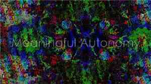 Various - Meaningful Autonomy