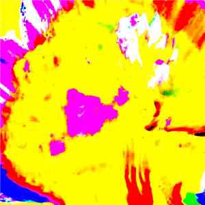 Daniel Steffey - A Collection of Censored Experiments: Volume II