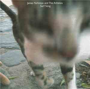 James Yorkston And The Athletes - Surf Song