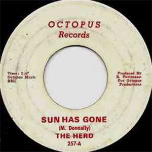 The Herd - Sun Has Gone / Things Won't Change