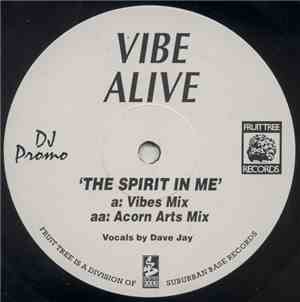 Vibe Alive - The Spirit In Me