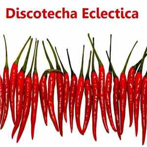 Beatconductor - Discotecha Eclectica
