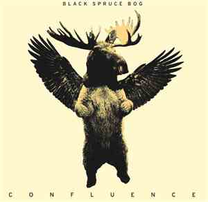 Black Spruce Bog - Confluence