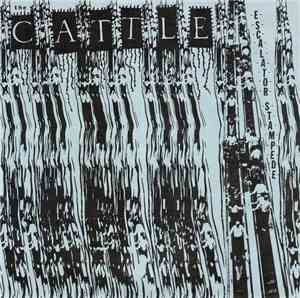 The Cattle - Escalator Stampede