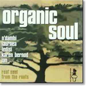 Various - Organic Soul 3