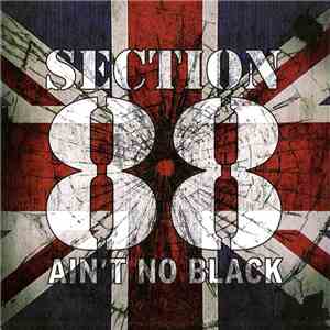 Section 88 - Ain't No Black