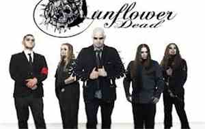 Sunflower Dead - Sunflower Dead