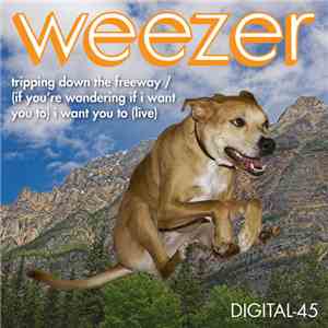 Weezer - Tripping Down The Freeway / (If You're Wondering If I Want You To) ...