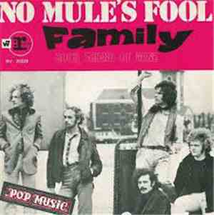 Family  - No Mules Fool