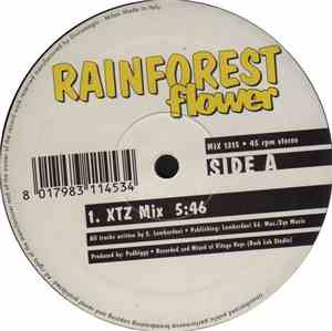 Rainforest - Flower