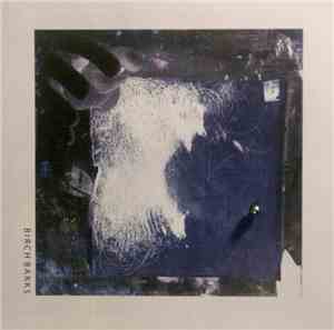 Birch Barks - abcc
