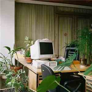Flamingosis - Windows 95 N' Chill