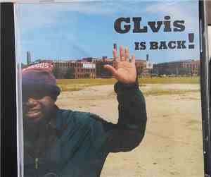 GLvis - GLvis Is Back!