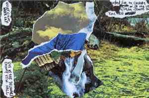 Quiet Light Water Gap - Live At The Delaware County V.F.W. Hall