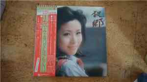 Rumiko Koyanagi - 故郷