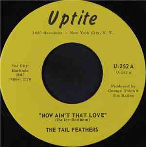 The Tail Feathers - Now Ain't That Love