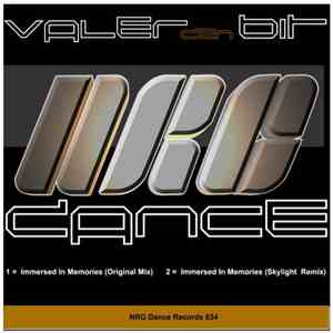 Valer Den Bit - Immersed In Memories