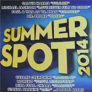 Various - Summer Spot 2014