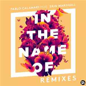 Pablo Calamari Feat. Erin Marshall - In The Name Of (Remixes)