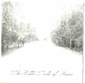 A Mental Disorder / Count Shannath - The Bitter Taste Of Ruins